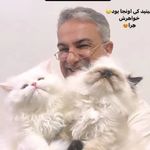 کلینیک دامپزشکی دکتر کنارکوهی