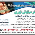 سونوگرافی تخصصی دکتر سیاوش نوری