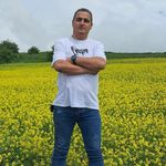 پیتزا ژاو