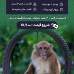 آژانس هواپیمایی و مسافرتی افق ونداد سیر