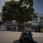 پوشاک شوک