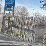 پرورش ماهی قزل آلای رنگین کمان1