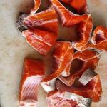 پرورش ماهی قزل آلای رنگین کمان1