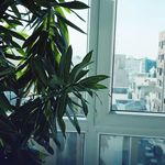 کلینیک زیبایی و لاغری بلو بیوتی|پاسداران