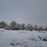 حمام تاریخی میرآباد