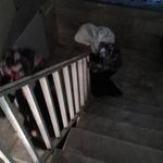 درمانگاه رسالت