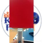 باشگاه تنیس روی میز کینگ پنگ