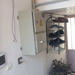 احمد رضایی زاده سیبنی