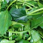 سبزیجات آماده طبخ گلستان سبز