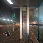 ایستگاه اتوبوس شهید برونسی 12