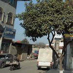 هزاره نوین