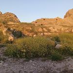 کاخ والرین