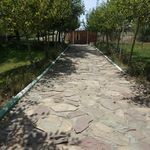 سرویس بهداشتی بوستان طالقانی 5