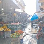 بازار ماهی چالوس
