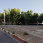 بوستان صدف