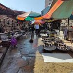 بازار ماهی چالوس