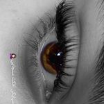 آمووزش و خدمات تخصصی Vip مژه سفیدبری