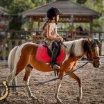 باشگاه سوارکاری اسب ایران