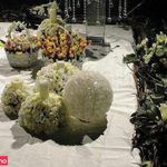 سفره عقد روژانو