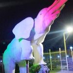 سالن پذیرایی فیل سفید
