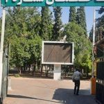 سازمان جهاد کشاورزی استان فارس