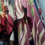 خشکشویی باران