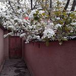 روستای برغان