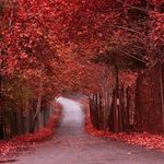 روستای برغان