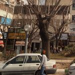 پیتزا سبز