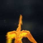 کلینیک دامپزشکی و پت شاپ اگزو