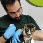 کلینیک دامپزشکی و پت شاپ اگزو