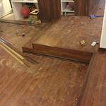 نیما چائی چی سلمی