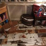 نیما چائی چی سلمی