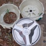 علیرضا مقیمی