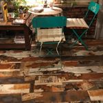 نیما چائی چی سلمی