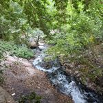 مسجد مهنان