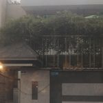 نمایندگی شماره ۱۱۴ کیاموتور اطلس خودرو محمدی طامه