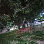 پارک سلمان ساوجی