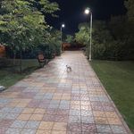 پارک سلمان ساوجی
