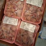 خرید و فروشسنگدان مرغ قادری