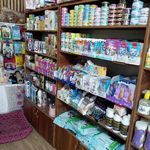 پت شاپ گربه سگ - فردیس - 3635