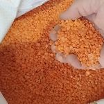 فروش حبوبات اعلا