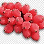 یاقوت سرخ مُنُند