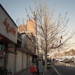 جگرسرای نیلوفر