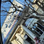 خودپرداز بانک صادرات