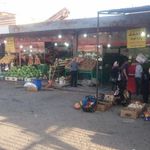 میوه و تره بار پردیس