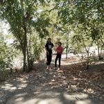 بوستان آلا