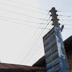 دکتر شقایق بزرگ زاده
