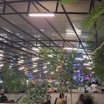 رستوران ستاره شهر