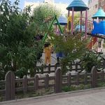 پارک زیتون